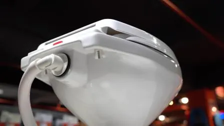 Seaflo 電動マリンボート マセレーター 電動ヨットトイレ 12V レギュラーサイズ レギュラーサイズ